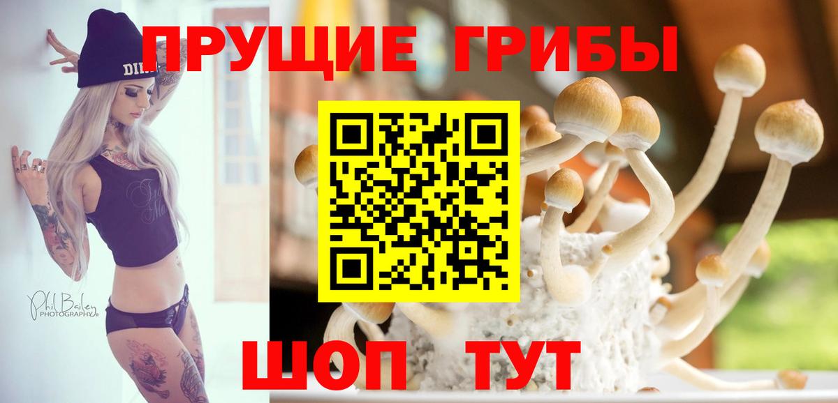 Галлюциногенные грибы Cubensis Заречный